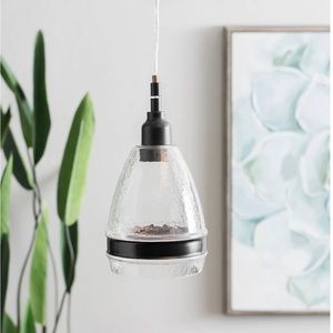 Kirklands Antique Black Belle Clear Glass Pendant Light